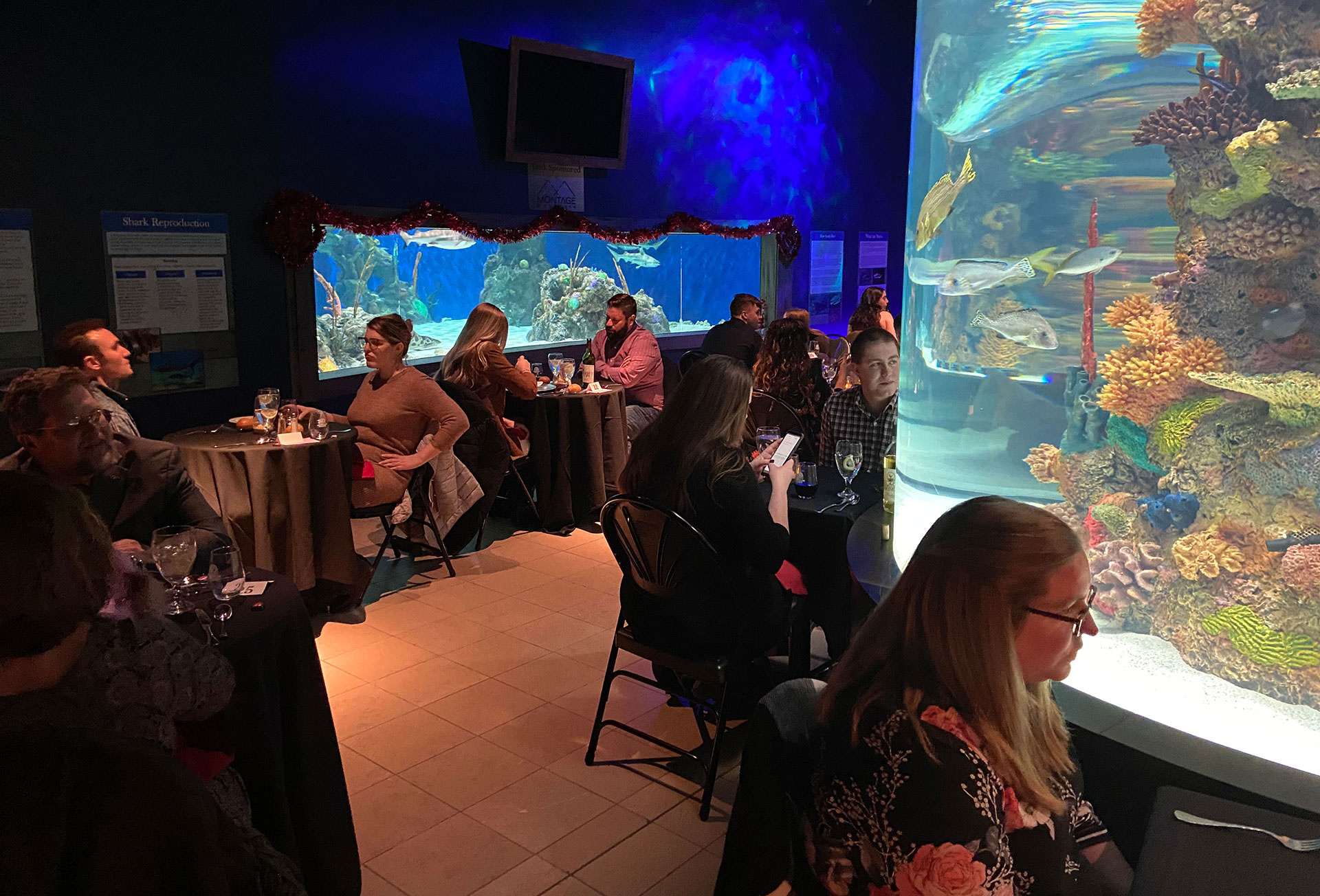 Events from November 16, 2019 - April 4, 2021 - Electric City Aquarium ...
